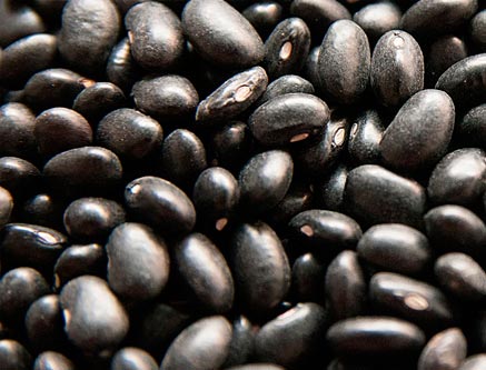 Legumbres León | La Flor Paramesa | Frijol Negro
